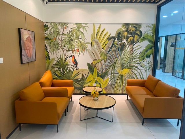 黄浦区纸浆模塑安装厂家